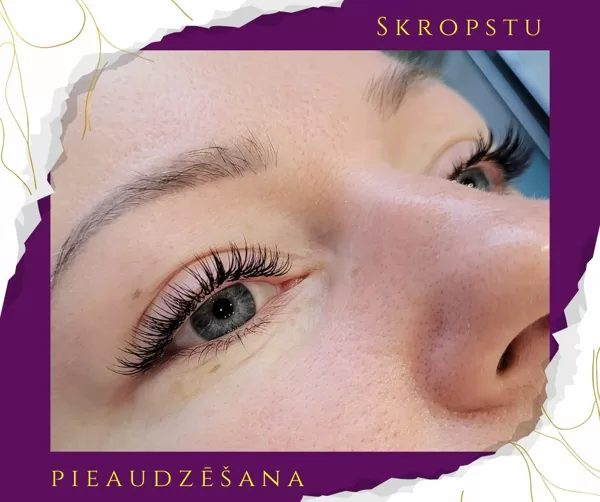 LED skropstu pieaudzēšana Ogrē - klasika, melnas